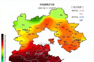 五大联赛参加非洲杯球员数：法甲58人最多，英超30人，意甲17人